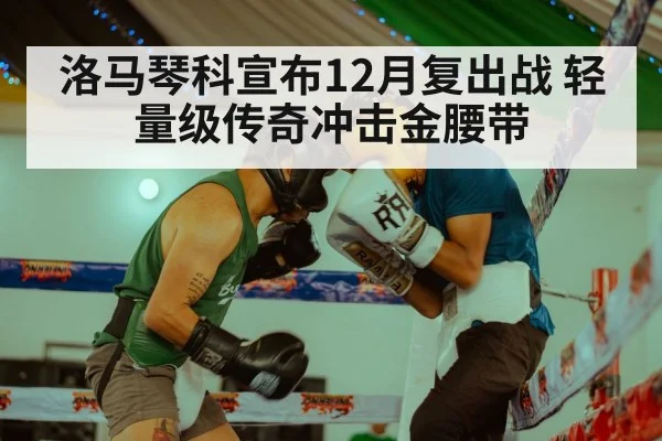 洛马琴科宣布12月复出战 轻量级传奇冲击金腰带